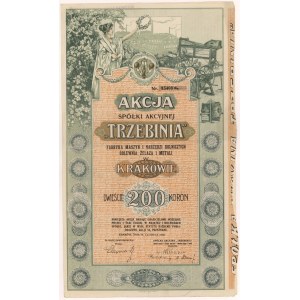 TRZEBINIA Fabryka Maszyn i Narzędzi Rolniczych Odlewnia Żelaza i Metali, 200 kr 1919