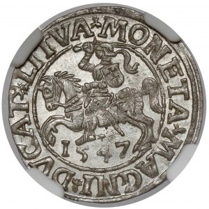 Sigismund II Augustus, halber Pfennig Vilnius 1547 - SCHÖN