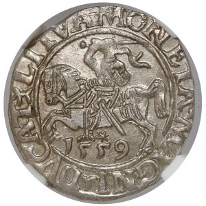 Sigismund II. Augustus, halber Pfennig Vilnius 1559
