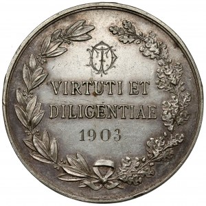 Medal, Chyrów Scientific and Educational Institution