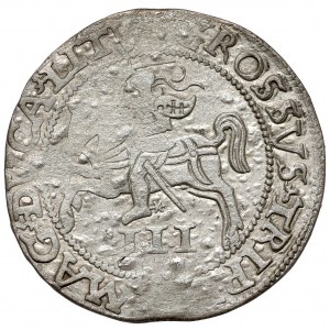 Sigismund II Augustus, Troika Vilnius 1562 - WIDE