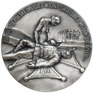 Medal SREBRO, Zdobycie Berlina