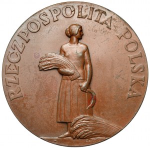 Medal, Za Pracę i Zasługę 1926 - III. klasa (brąz)