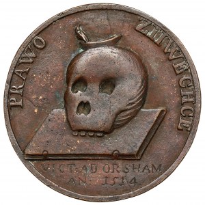 Medaille, 19. Jahrhundert, Sigismund I. der Alte - ZIIWECHCE Gesetz 1514 - gegossen