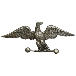 Badge, Falcon Organization