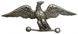 Odznaka, Organizacja Sokół