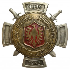 PSZnZ, Odznak, Poľské pešie zoskupenie
