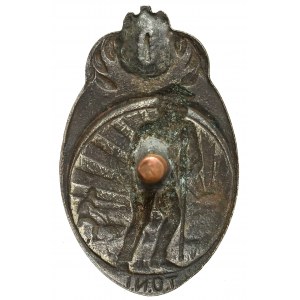 T.O.N.I. badge - 4th Legion Infantry Regiment (?).