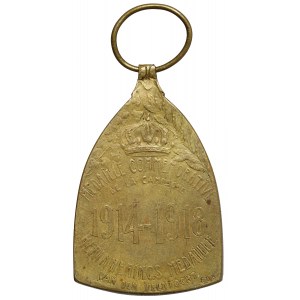 Belgicko, medaila 1914-1918