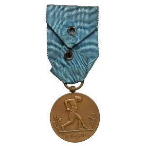 Druhá republika, medaila pri príležitosti 10. výročia znovuzískania nezávislosti