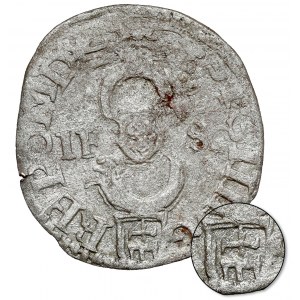 Sigismund III Vasa, Szeląg Bydgoszcz 1596 - rarity