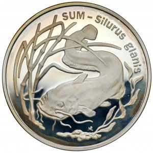 20 złotych 1995 Sum