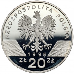 20 złotych 1995 Sum