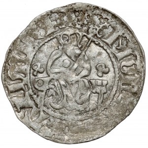 Kasimir III. der Große, Halber Pfennig (Quarto), Krakau