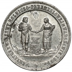 Medal, Agricultural and Industrial Exhibition in Warsaw 1885