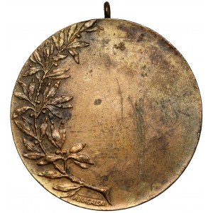 Award Medal, Vow to the Olympics.... Nagalski, brass