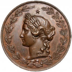 Medaille, Nationale Landwirtschafts- und Industrieausstellung in Lwow 1877