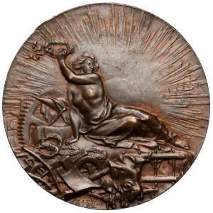 Medal, Museum of Industry in Agriculture in Warsaw - rare
