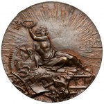 Medal, Muzeum Przemysłu w Rolnictwie w Warszawie - rzadki