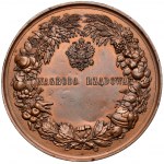 Medal, Nagroda Rządowa - Wystawa Płodów i Wyrobów Gospodarstwa Wiejskiego - kopia galwaniczna