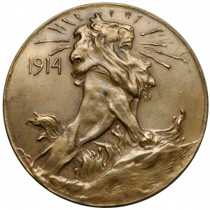 Medal, Heroic Belgium Resurrected Poland 1914