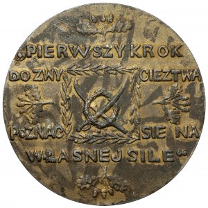 Medaille, 100. Jahrestag des Todes von Tadeusz Kościuszko 1917