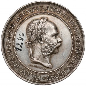 Medal, Powszechna Wystawa Krajowa, Lwów 1894 - SREBRO