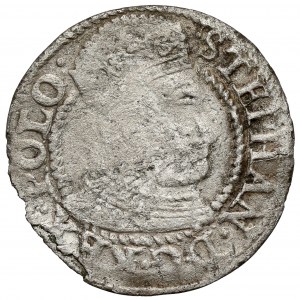 Stefan Batory, Olkusz Pfennig 1579 - hoher Kopf - sehr selten