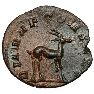 Gallien (258-268 n. l.) Antoninián - antilopa