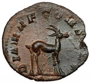Gallien (258-268 n. Chr.) Antoninian - Antilope