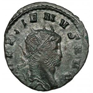 Gallien (258-268 n. Chr.) Antoninianischer männlicher Panther