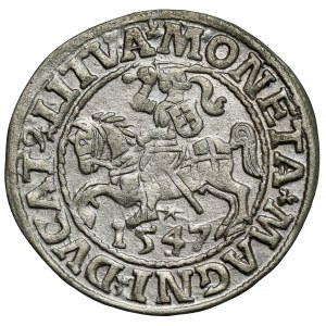 Sigismund II Augustus, Half-grosz Vilnius 1547