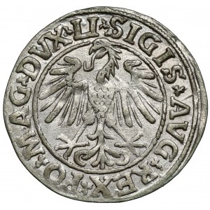 Sigismund II Augustus, Half-grosz Vilnius 1547