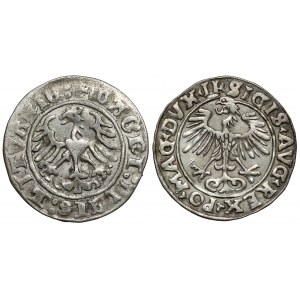 Sigismund I. der Alte - Sigismund II. Augustus, Vilniuser Halbpfennig (2 Stück)
