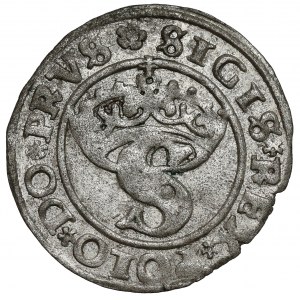 Sigismund I. der Alte, Szeląg Toruń 1529