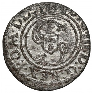 Sigismund III. Vasa, Der Schutzraum Vilnius 1624