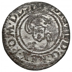 Sigismund III Vasa, Vilnius 1624 Shelagh