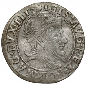 Sigismund II. Augustus, litauischer Fußpfennig 1555, Vilnius