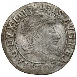 Sigismund II Augustus, Grosz per Lithuanian foot 1555, Vilnius
