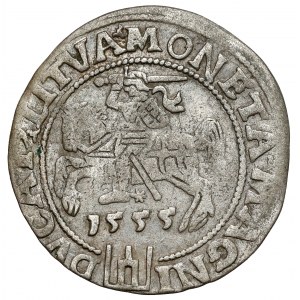 Sigismund II. Augustus, litauischer Fußpfennig 1555, Vilnius