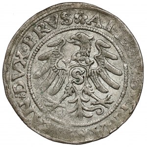 Prusy, Albrecht Hohenzollern, Grosz Królewiec 1530