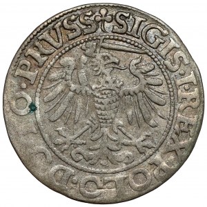 Sigismund I the Old, Penny Elblag 1539