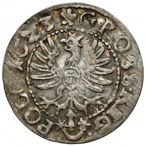 Sigismund III. Wasa, Bromberger Pfennig 1623