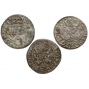 Stefan Batory und Sigismund III Vasa, Schellacksatz (3 Stück)