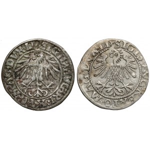 Sigismund II Augustus, halber Pfennig Vilnius 1549 und 1560 (2 Stück)