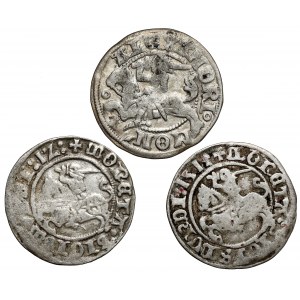 Alexander Jagiellon and Sigismund I the Old, Vilnius half-penny (3pcs)
