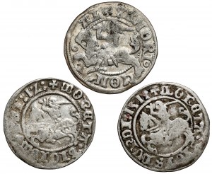 Alexander Jagiellon and Sigismund I the Old, Vilnius half-penny (3pcs)