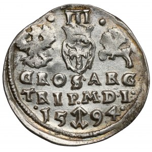 Sigismund III Vasa, Troika Vilnius 1594