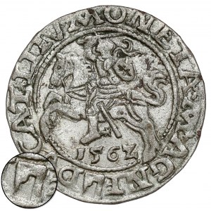 Sigismund II Augustus, halber Pfennig Vilnius 1562 - TOPOR - selten