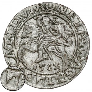 Zikmund II August, půlpenny Vilnius 1562 - TOPOR - vzácný